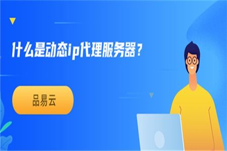 動(dòng)態(tài)IP代理服務(wù)器與票務(wù)代理服務(wù) 概念、應(yīng)用與差異解析